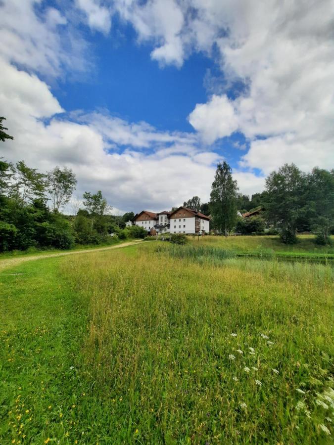 Arberapartment Bayerisch Eisenstein Eksteriør bilde